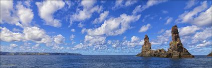 Sea Stacks - Nepean Island -  Norfolk Island - NSW (PBH4 00 12362)